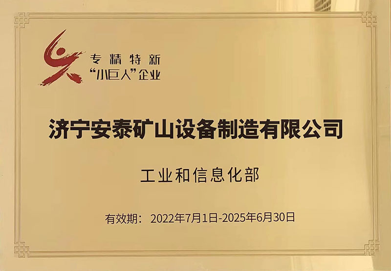 12專(zhuān)精特新“小巨人”企業(yè)
