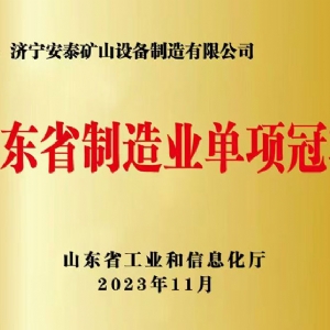 山東省制造業(yè)單項冠 軍